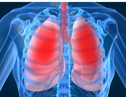 http://www.interactive-biology.com/wp-content/uploads/2012/04/Human-Lung.jpg